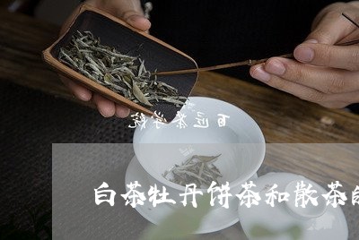 白茶牡丹饼茶和散茶的区别/2023041586240