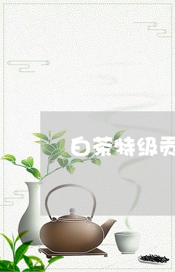 白茶特级贡眉原料价格图片/2023041568480