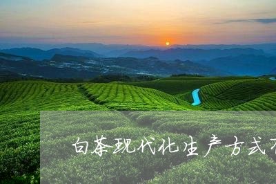 白茶现代化生产方式有哪些/2023041578251