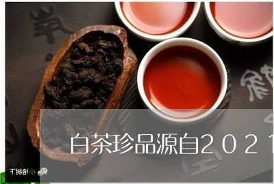 白茶珍品源自2021新茶/2023033016137