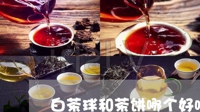 白茶球和茶饼哪个好喝一点/2023041517181