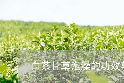 白茶甘草泡澡的功效与作用/2023041503956