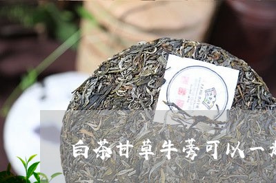 白茶甘草牛蒡可以一起泡吗/2023041227281