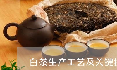 白茶生产工艺及关键控制点/2023041295127