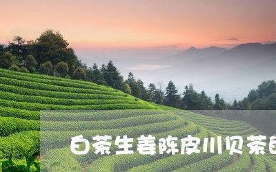 白茶生姜陈皮川贝茶的功效/2023041237582