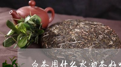 白茶用什么水沏茶好喝一点/2023041530505