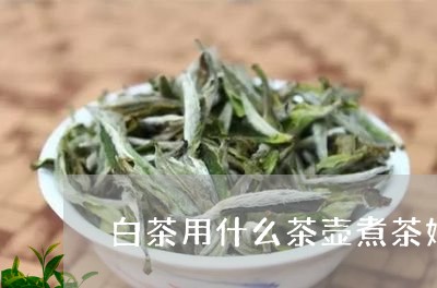 白茶用什么茶壶煮茶好一点/2023041649691