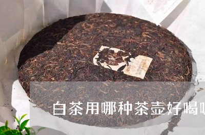 白茶用哪种茶壶好喝呢女士/2023041268289