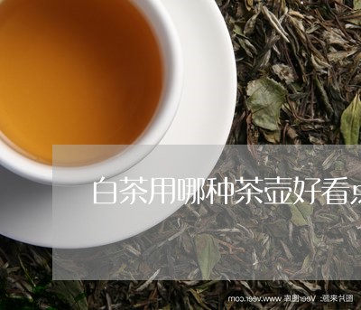 白茶用哪种茶壶好看点图片/2023041263848