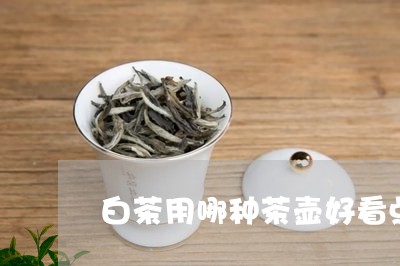 白茶用哪种茶壶好看点好喝/2023041231604