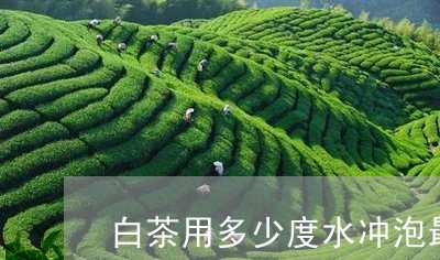 白茶用多少度水冲泡最好呢/2023041252615