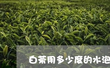 白茶用多少度的水泡好/2023033039380