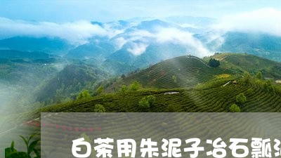 白茶用朱泥子冶石瓢泡好吗/2023041518371