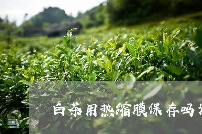 白茶用热缩膜保存吗为什么/2023041517383