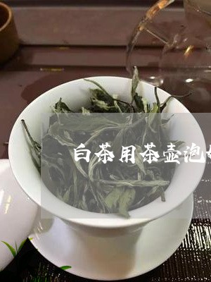 白茶用茶壶泡好不好呀视频/2023041520492