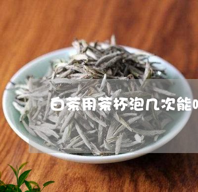 白茶用茶杯泡几次能喝下去/2023041107060