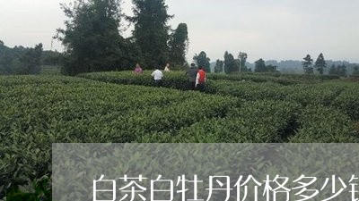 白茶白牡丹价格多少钱一斤/2023041247381