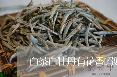 白茶白牡丹有花香吗好喝吗/2023041249483