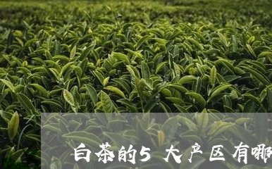 白茶的5大产区有哪些产品/2023033174827