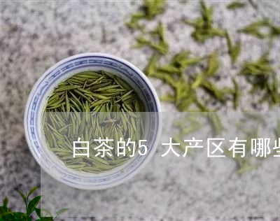 白茶的5大产区有哪些品牌/2023033187491