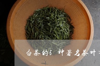 白茶的5种著名茶叶有哪些/2023033125948