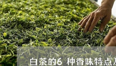 白茶的6种香味特点及功效/2023033017161