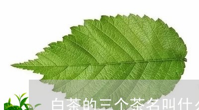 白茶的三个茶名叫什么名字/2023041251705