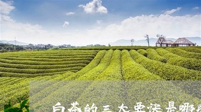 白茶的三大要诀是哪些内容/2023041581713