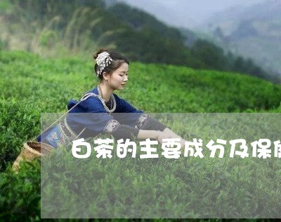 白茶的主要成分及保健功效/2023041228604