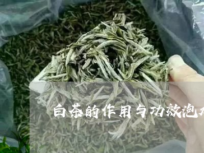 白茶的作用与功效泡水温度/2023041233917