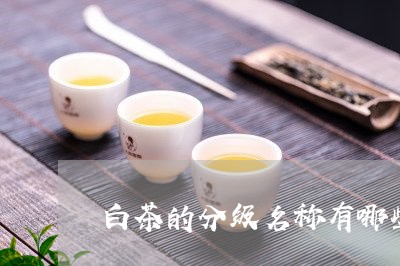 白茶的分级名称有哪些图片/2023041276369