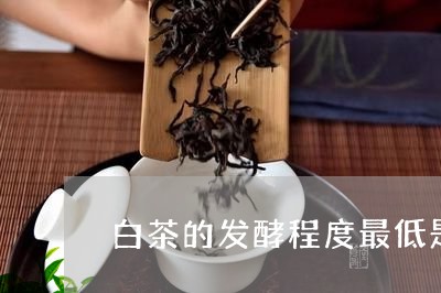 白茶的发酵程度最低是多少/2023041250414