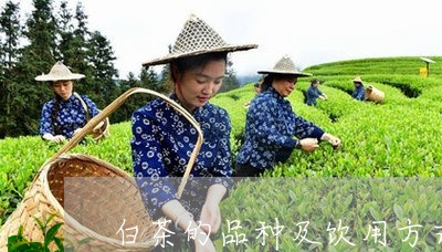 白茶的品种及饮用方式图片/2023041619259