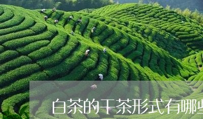 白茶的干茶形式有哪些特征/2023041504147