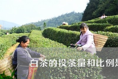 白茶的投茶量和比例是多少/2023041231825