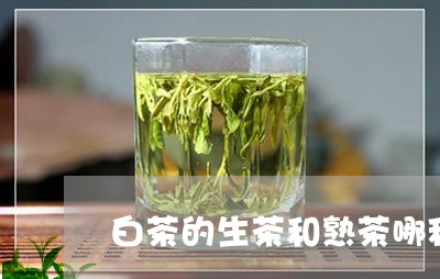 白茶的生茶和熟茶哪种耐泡/2023041101795