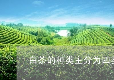 白茶的种类主分为四类眉茶/2023041175938