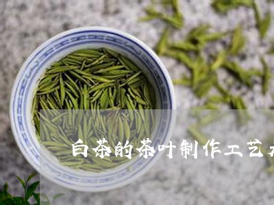 白茶的茶叶制作工艺是什么/2023041290534