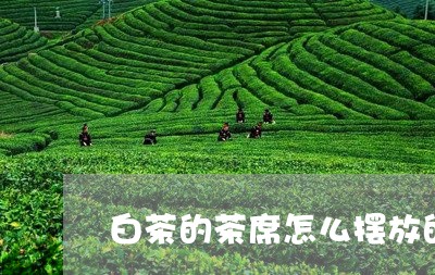 白茶的茶席怎么摆放的好看/2023041205147