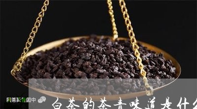 白茶的茶青味道是什么成分/2023041240482