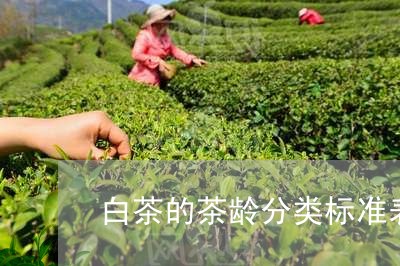 白茶的茶龄分类标准表最新/2023041219704