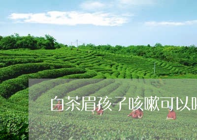 白茶眉孩子咳嗽可以喝吗/2023041431614