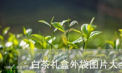 白茶礼盒外袋图片大全大图/2023041204140