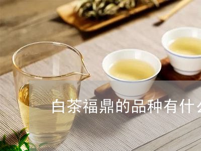 白茶福鼎的品种有什么特征/2023041597180