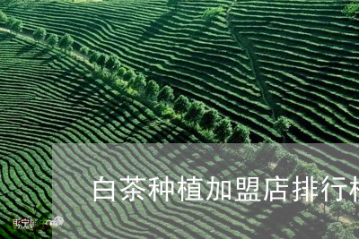 白茶种植加盟店排行榜最新/2023041230594