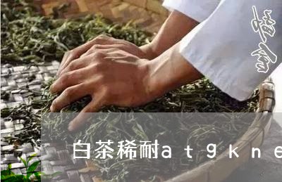 白茶稀耐atgkne托卡/2023041252605