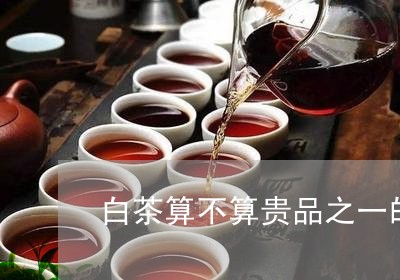 白茶算不算贵品之一的茶叶/2023041525138