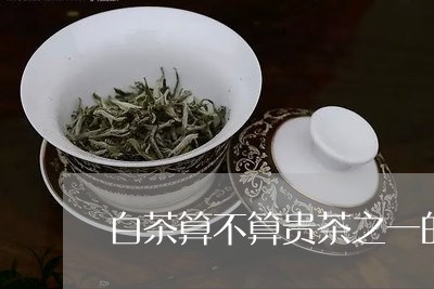 白茶算不算贵茶之一的种类/2023041543026