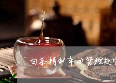 白茶精制车间管理规定标准/2023041269824