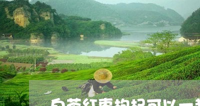 白茶红枣枸杞可以一起泡吗/2023041273825